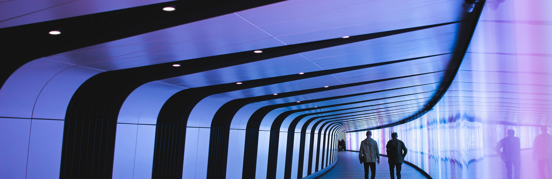 Digital Transformation in Government